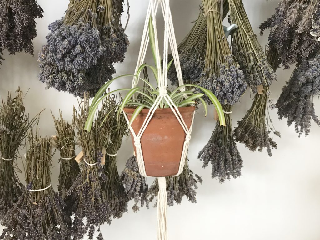 Macrame plant pot holder